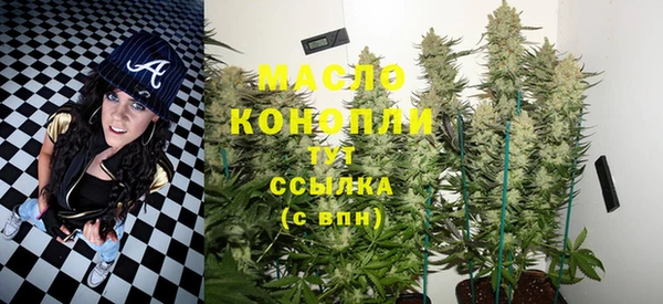 мет Дмитров
