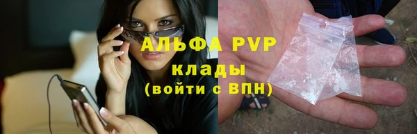 прущие крисы Покачи