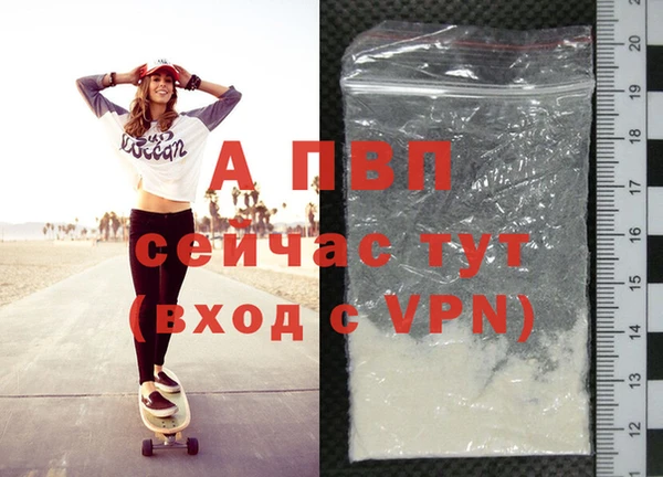 jwh Пересвет