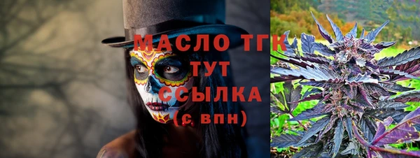 мет Дмитров