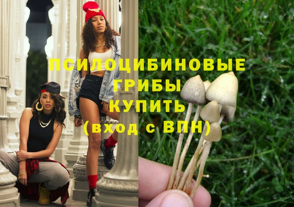 мет Дмитров