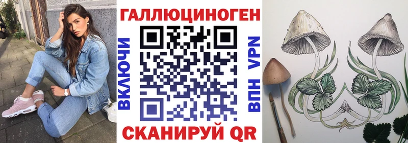 Галлюциногенные грибы GOLDEN TEACHER  Рошаль 